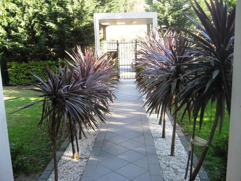 7/46 Rainbow Street, Kingsford NSW 2032