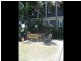 533B New South Head Road, Double Bay NSW 2028