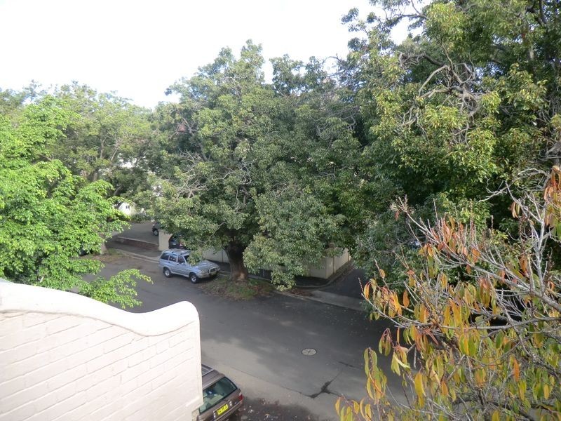 7/31 South Avenue, Double Bay NSW 2028