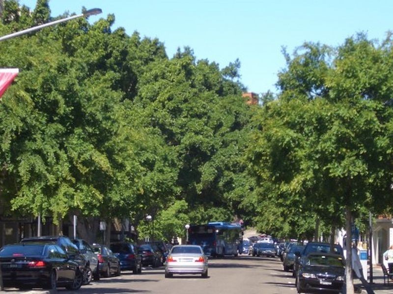 0 Cross Street, Double Bay NSW 2028