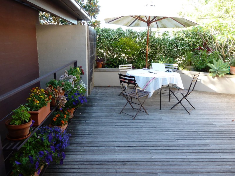 61 Underwood Street, Paddington NSW 2021