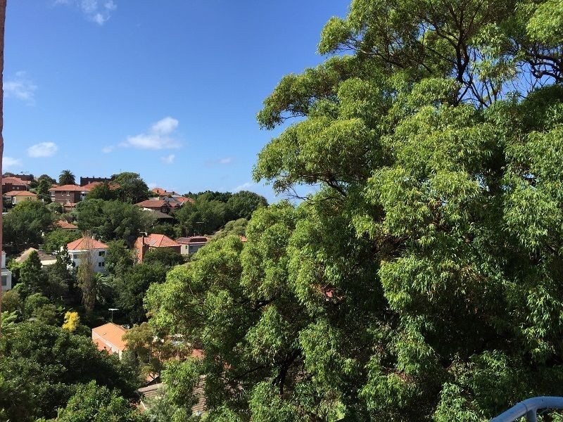 4/127 Carrington Road, Coogee NSW 2034