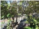 17/13-15 Oxford Street, Darlinghurst NSW 2010