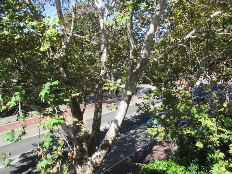 17/13-15 Oxford Street, Darlinghurst NSW 2010