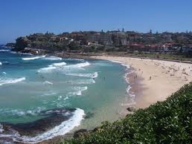 493 Bronte Road, Bronte NSW 2024