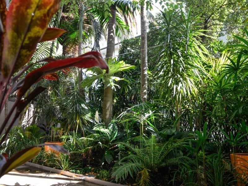 5/17 Cooper Street, Double Bay NSW 2028