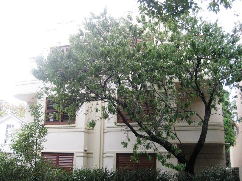 7/31 South Avenue, Double Bay NSW 2028