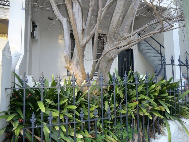 1/27 Rowe Street, Woollahra NSW 2025