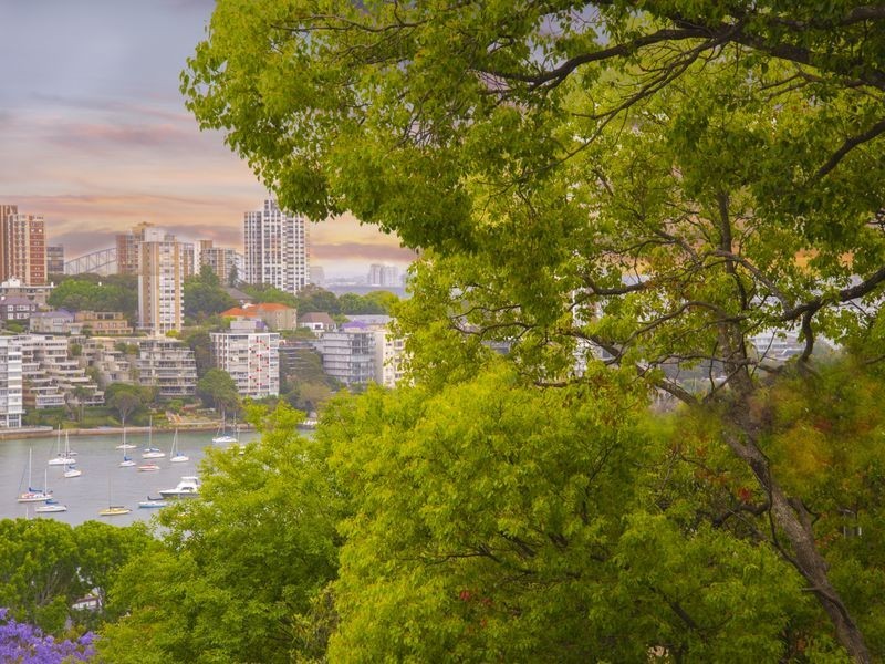 62/36 Fairfax Road, Bellevue Hill NSW 2023