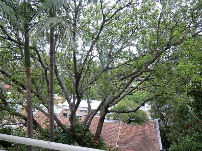 3/119 Victoria Street, Potts Point NSW 2011