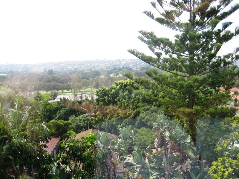 2/30 Latimer Road, Bellevue Hill NSW 2023