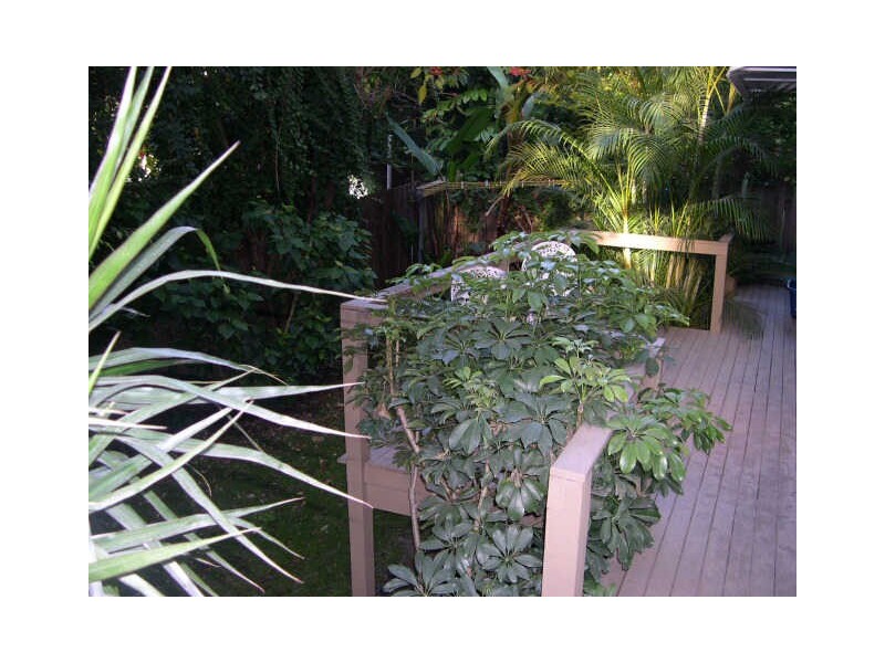 19 Bradley Avenue, Bellevue Hill NSW 2023