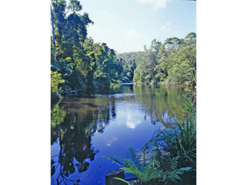 644 The Scenic Road, Macmasters Beach NSW 2251