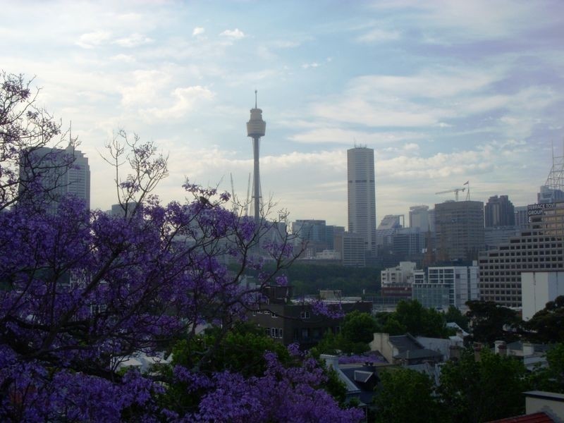 6/1 Thomson Street, Darlinghurst NSW 2010