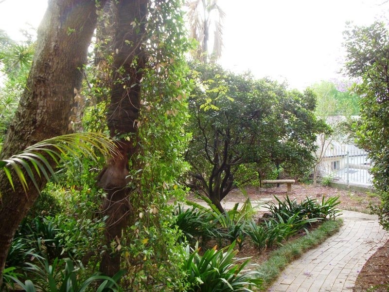 6/1 Thomson Street, Darlinghurst NSW 2010