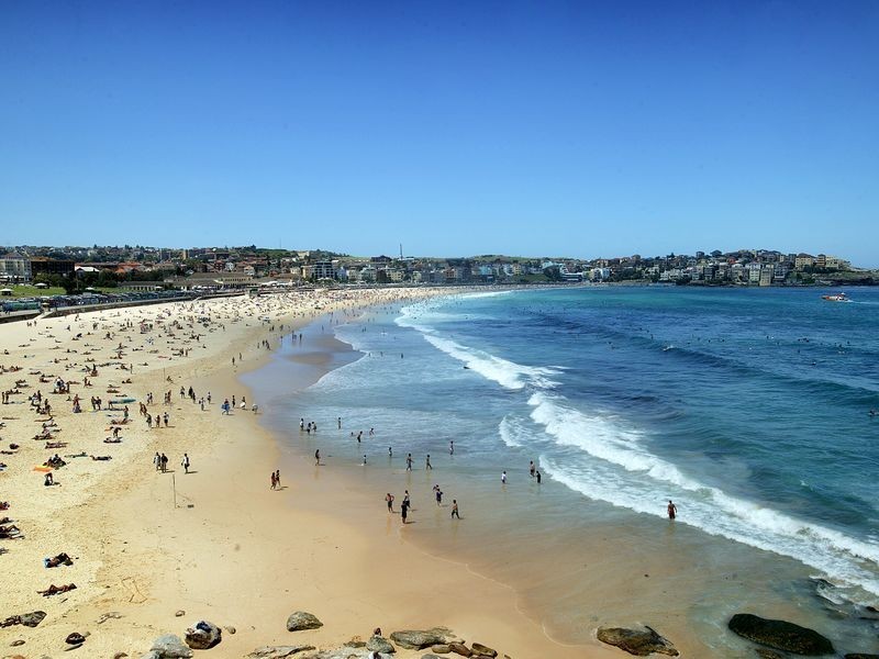 38 Denham Street, Bondi NSW 2026