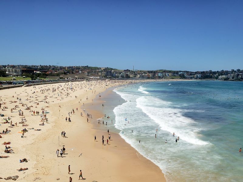 38 Denham Street, Bondi NSW 2026