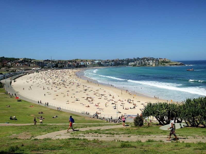 38 Denham Street, Bondi NSW 2026