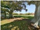 5/260 New South Head Road, Double Bay NSW 2028