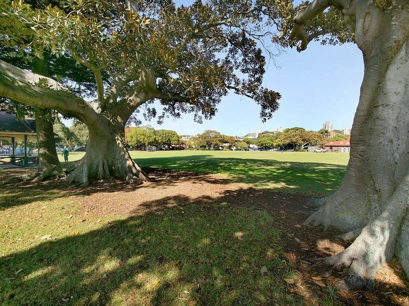 5/260 New South Head Road, Double Bay NSW 2028