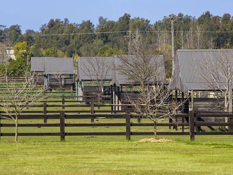 100 Old Kurrajong Rd, Richmond NSW 2753