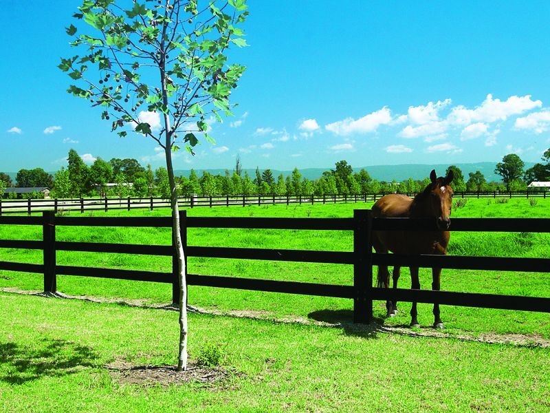 100 Old Kurrajong Rd, Richmond NSW 2753