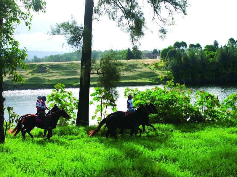 100 Old Kurrajong Rd, Richmond NSW 2753