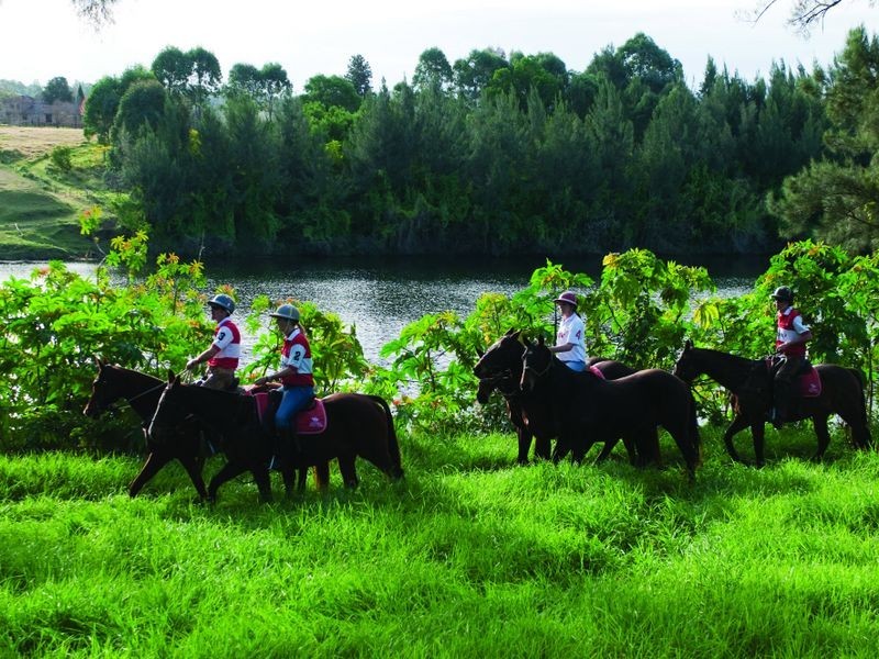 100 Old Kurrajong Rd, Richmond NSW 2753