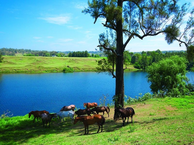 100 Old Kurrajong Rd, Richmond NSW 2753