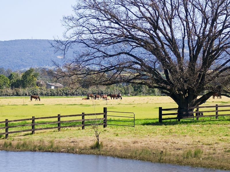 100 Old Kurrajong Rd, Richmond NSW 2753