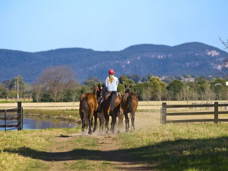 100 Old Kurrajong Rd, Richmond NSW 2753