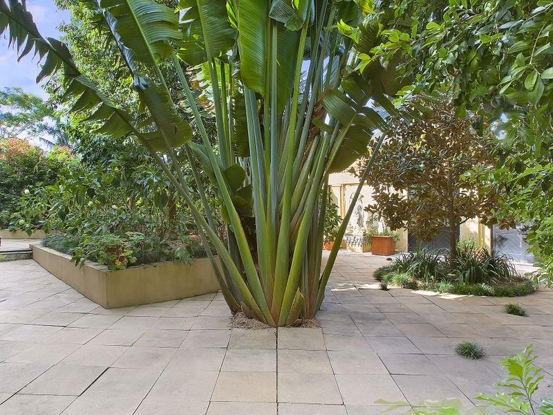 11a Dutruc Street, Randwick NSW 2031