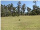 Jimboomba QLD 4280