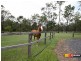 Jimboomba QLD 4280