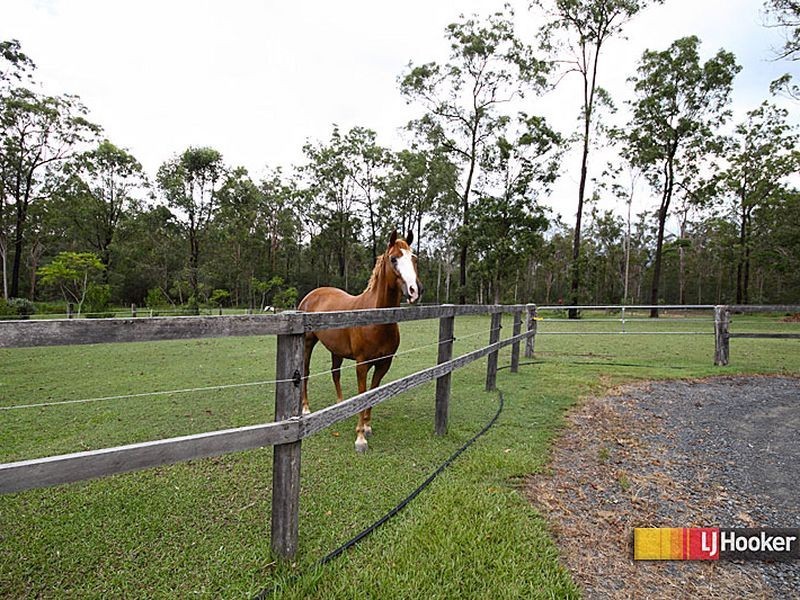 Jimboomba QLD 4280