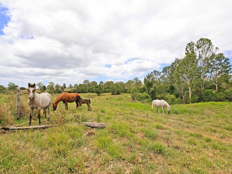 Cedar Grove QLD 4285