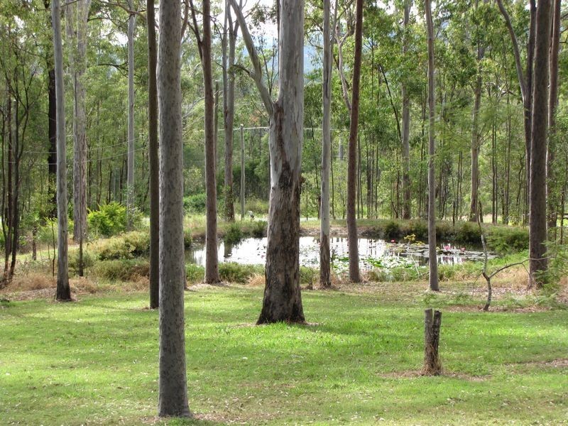 Tamborine QLD 4270