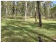 Tamborine QLD 4270