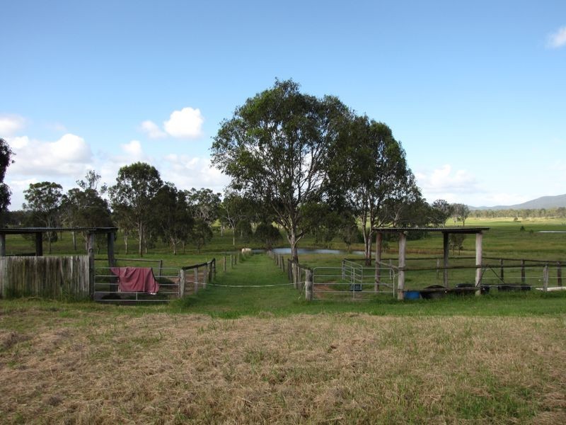 181 Larch Road, Tamborine QLD 4270