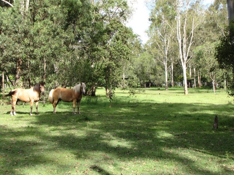 South Maclean QLD 4280