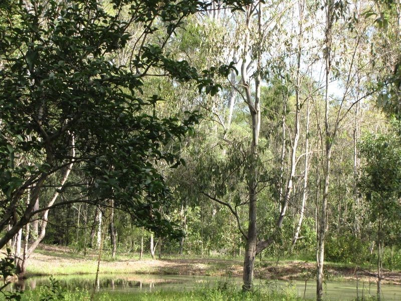 South Maclean QLD 4280