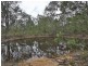 Jimboomba QLD 4280