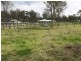 North Maclean QLD 4280