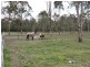 North Maclean QLD 4280