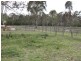 North Maclean QLD 4280