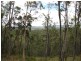Tamborine QLD 4270