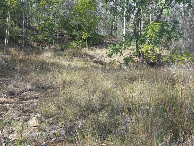 19 Yulgibar Cl, Kooralbyn QLD 4285