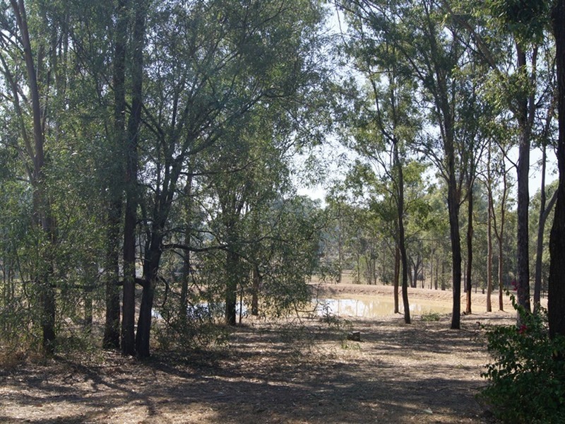 Jimboomba QLD 4280