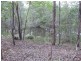 Cedar Vale QLD 4285