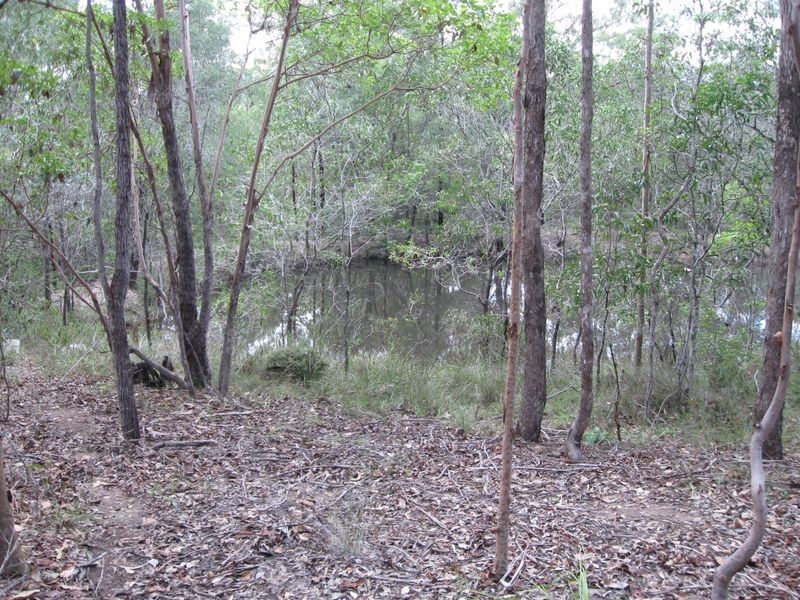 Cedar Vale QLD 4285